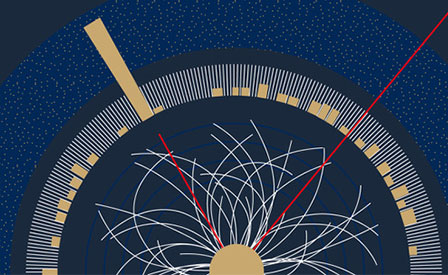  Il CERN e il bosone di Higgs 